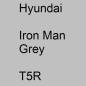 Preview: Hyundai, Iron Man Grey, T5R.